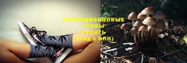 трава Богданович