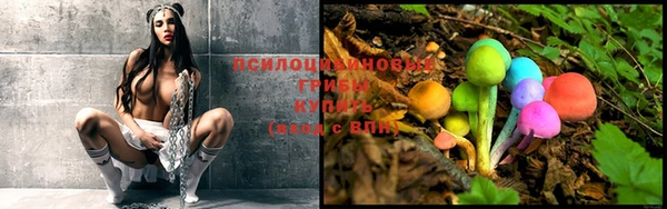 трава Богданович