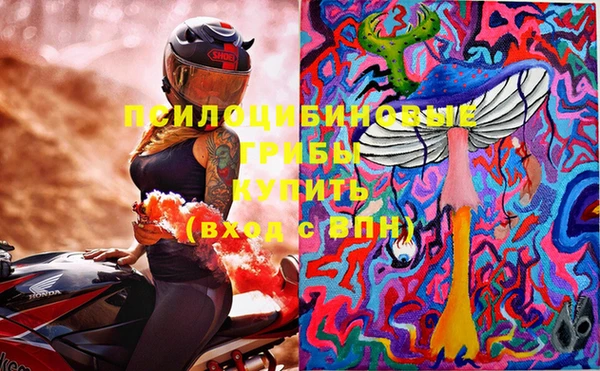 метадон Богородицк